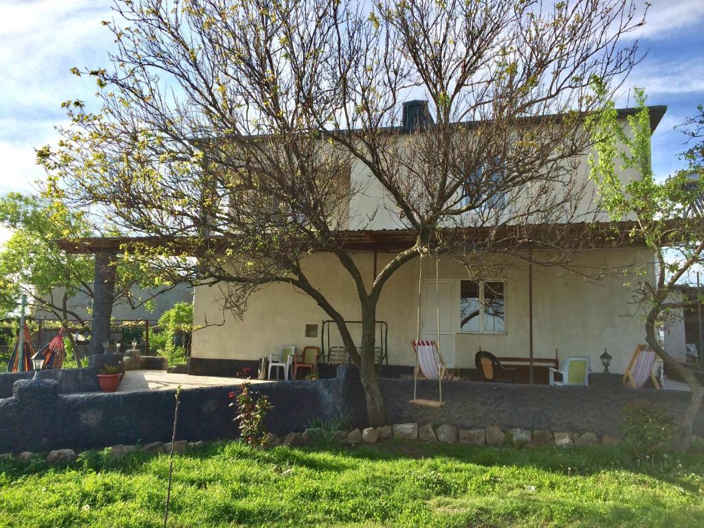 Mamuka's Guesthouse room 3